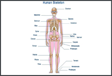 Manchitra Vigyan & Surgical Udyog